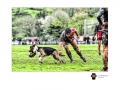 RUGBIMAGES-12